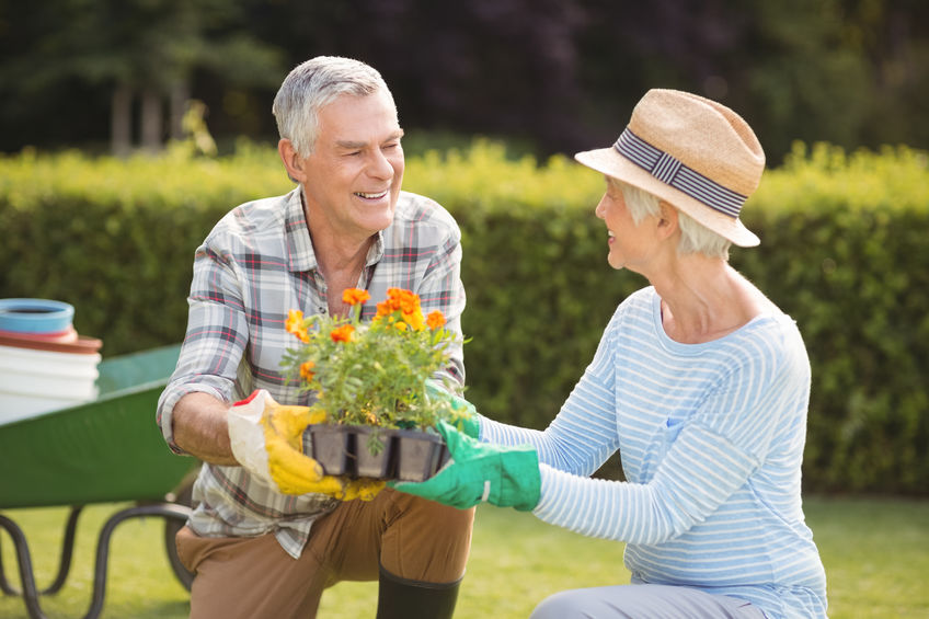 Ashford Hall Irving Texas Health Benefits of Gardening | Staying Active With Age