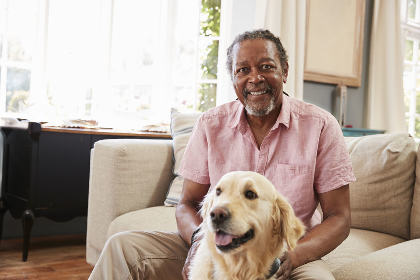 Can Owning A Pet Improve The Life Of Your Loved One Ashford Hall Skilled Nursing 