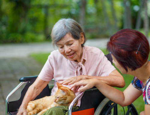 The Benefits of Pet Therapy in Nursing Homes: Bringing Joy and Comfort to Residents